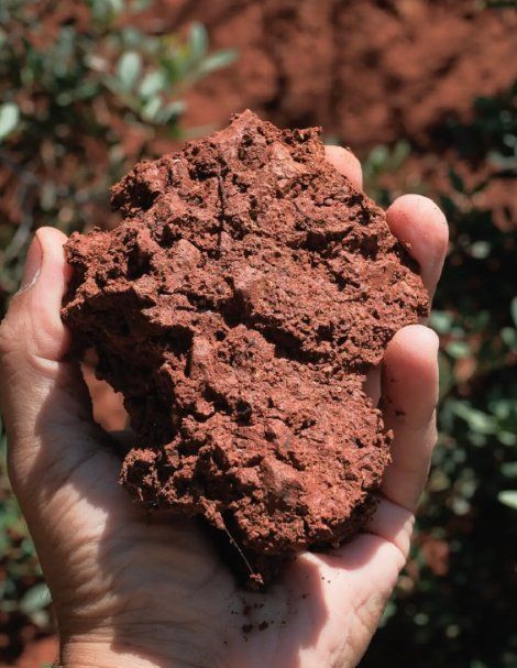 Material Correspondence: Wild Clay & Territory Workshop in Nicosia