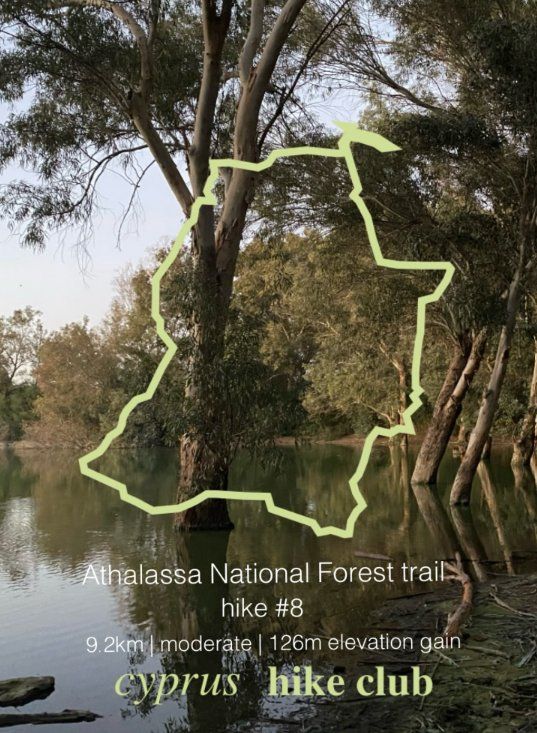 Cyprus Hike Club: Athalassa National Forest Trail Hike in Nicosia