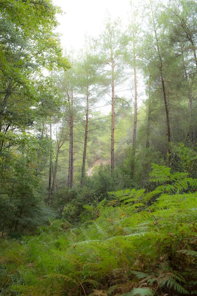 2 Πορείες στην Ξυσταρούδα: Μέτρια & Δύσκολη