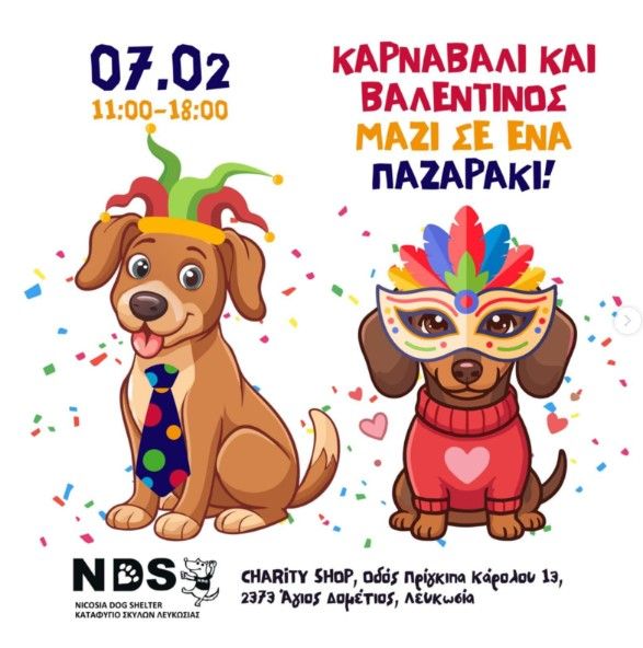 Valentine & Carnival Charity Bazaar in Nicosia