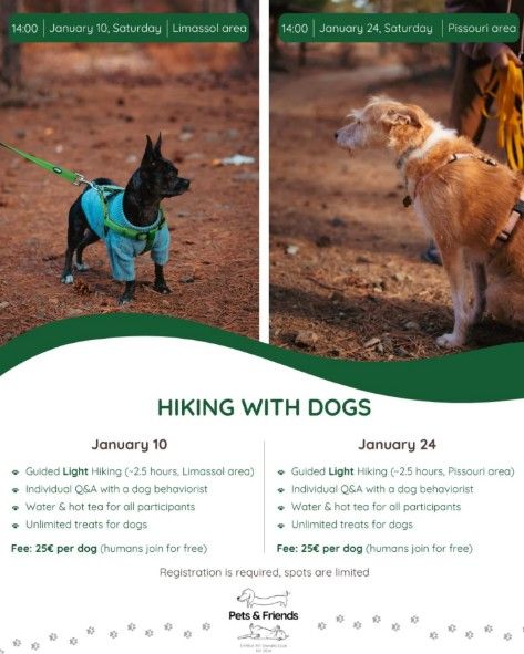 Hiking with Dogs: Coastal Trail Walk in Limassol