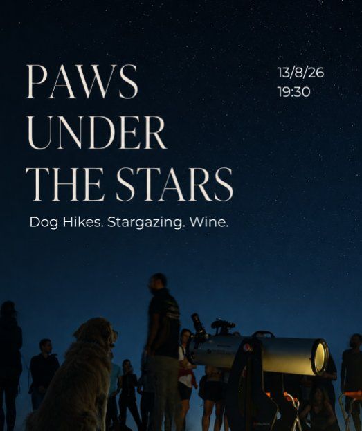 Paws Under the Stars: Dog Hike & Perseid Meteor Shower at Machairas