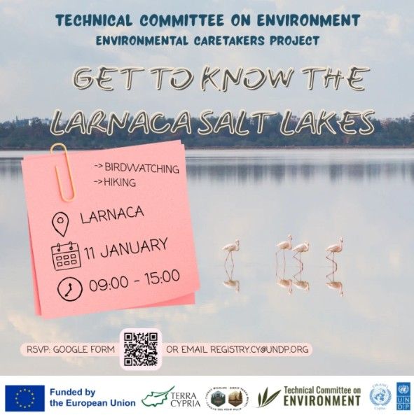 Bird Watching & Nature Walk: Larnaca Salt Lakes