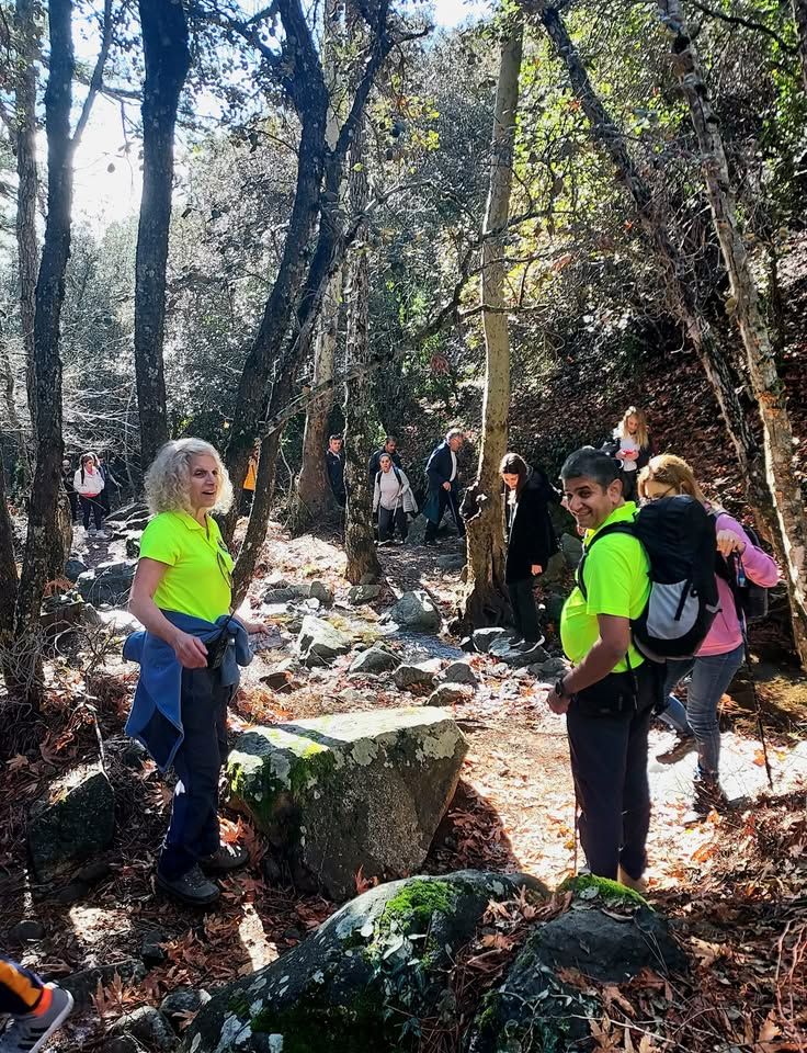 Psilo Dendro Hike: Caledonia Trails Experience