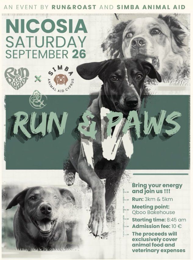 Run & Paws: Charity Run for Shelter Dogs in Nicosia