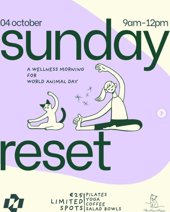 Sunday Reset: Wellness Morning for World Animal Day in Larnaca