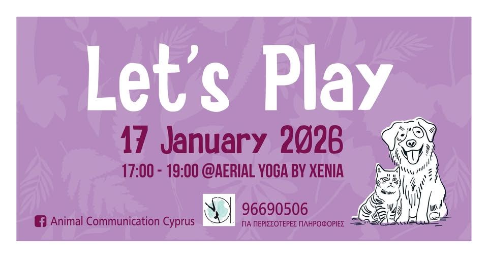 Let's Play: Animal Communication Through Play in Nicosia