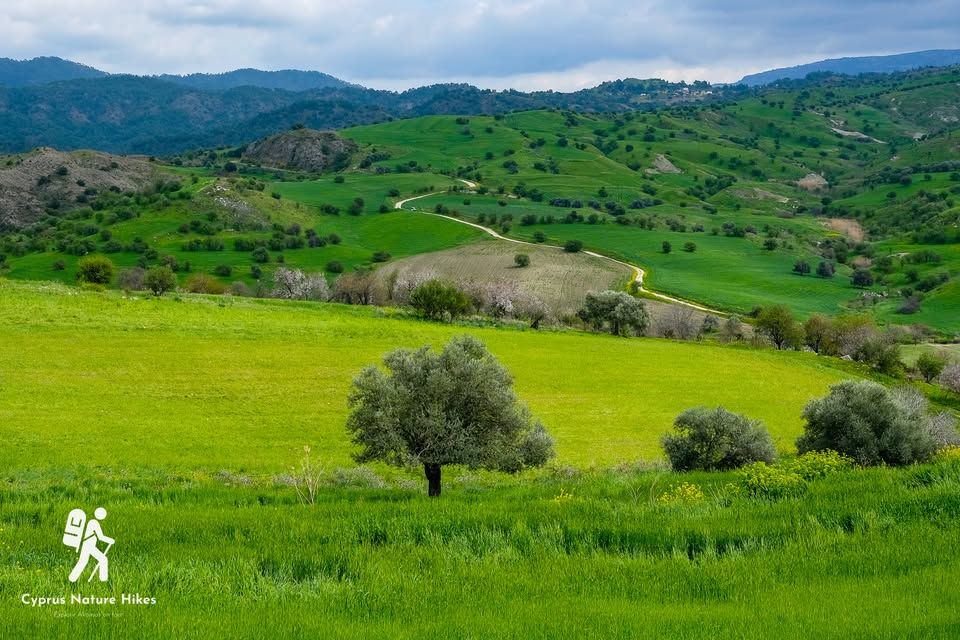 Cyprus Nature Hikes: Guided Hiking Tour from Byron’s Market