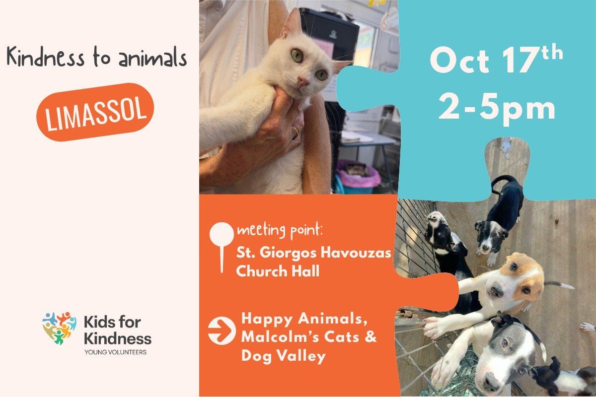 Kindness to Animals: Kids Volunteer Mission in Limassol