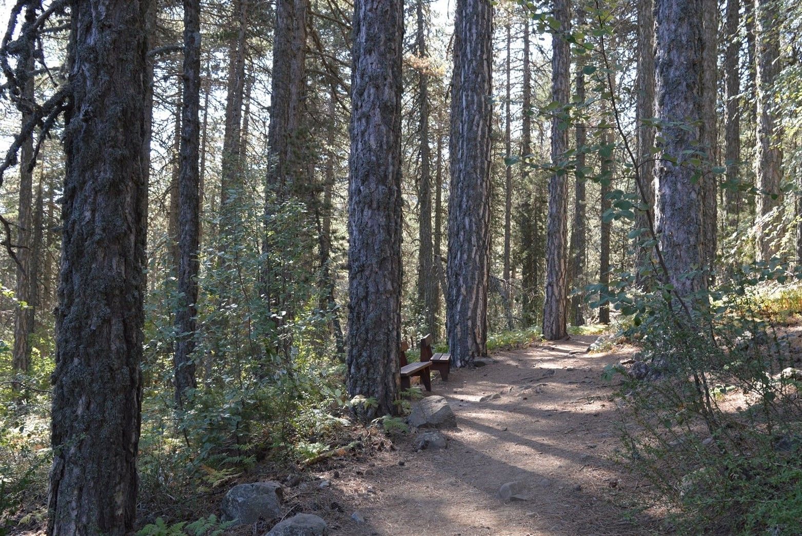 Autumn Hike on the Highest Peaks of Troodos